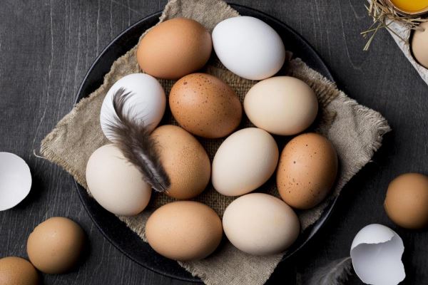 За 8 месяцев костромские птицефабрики произвели 642 млн куриных яиц