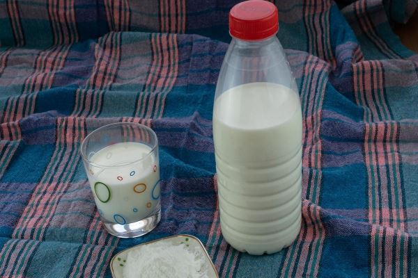 В сельхозорганизациях Республики Алтай на 11% увеличилось производство молока