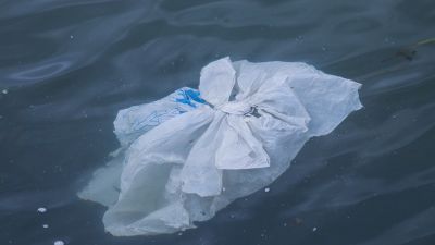 Арктические берега нуждаются в генеральной уборке - новости экологии на ECOportal
