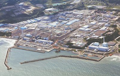 Специалисты МАГАТЭ проверят безопасность выловленной вблизи Фукусимы рыбы - новости экологии на ECOportal