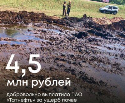 Татнефть выплатила 4,5 млн рублей за ущерб из-за разлива нефтепродуктов в Татарстане - новости экологии на ECOportal