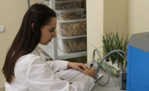 В лаборатории биохимии и физиологии растений Омского АНЦ исследуют активность симбиотической азотфиксации