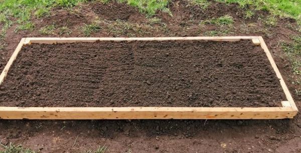 Зрите в почву: как понять и улучшить здоровье земли в отдельно взятом огороде