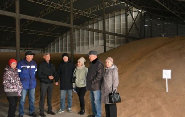 В России продолжается работа по улучшению качества рынка семян