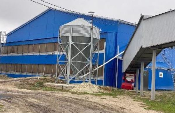 Поголовье кур несушек на 63 тысячи увеличит Лысогорская птицефабрика в Саратовской области