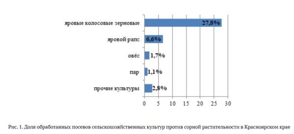 Топ самых популярных гербицидов 2023 в Красноярском крае