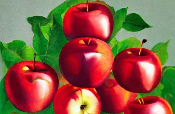 Химическое прореживание яблок в интенсивном садоводстве метамитроном